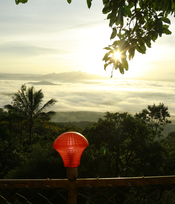 Best Hill Resorts in Wayanad