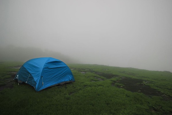 Tent House in Wayanad