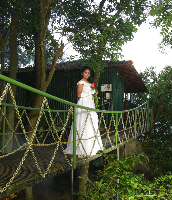 Tree House in Wayanad