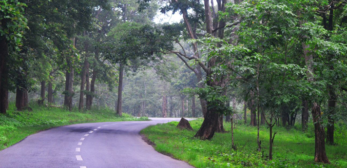 Wayanad - Kerala